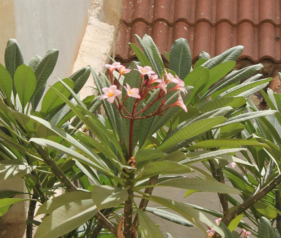 Appartement Casa La Victoria Málaga