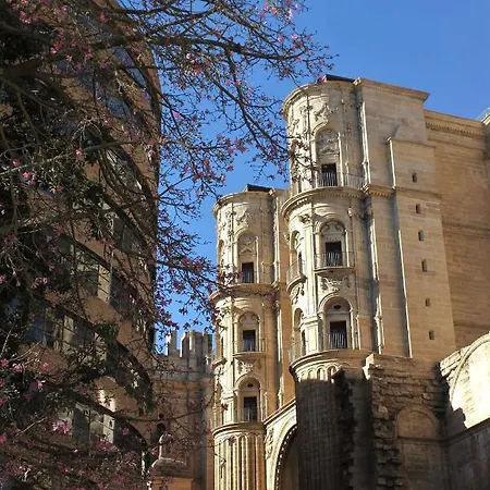 Casa La Victoria Apartment Malaga Exterior photo